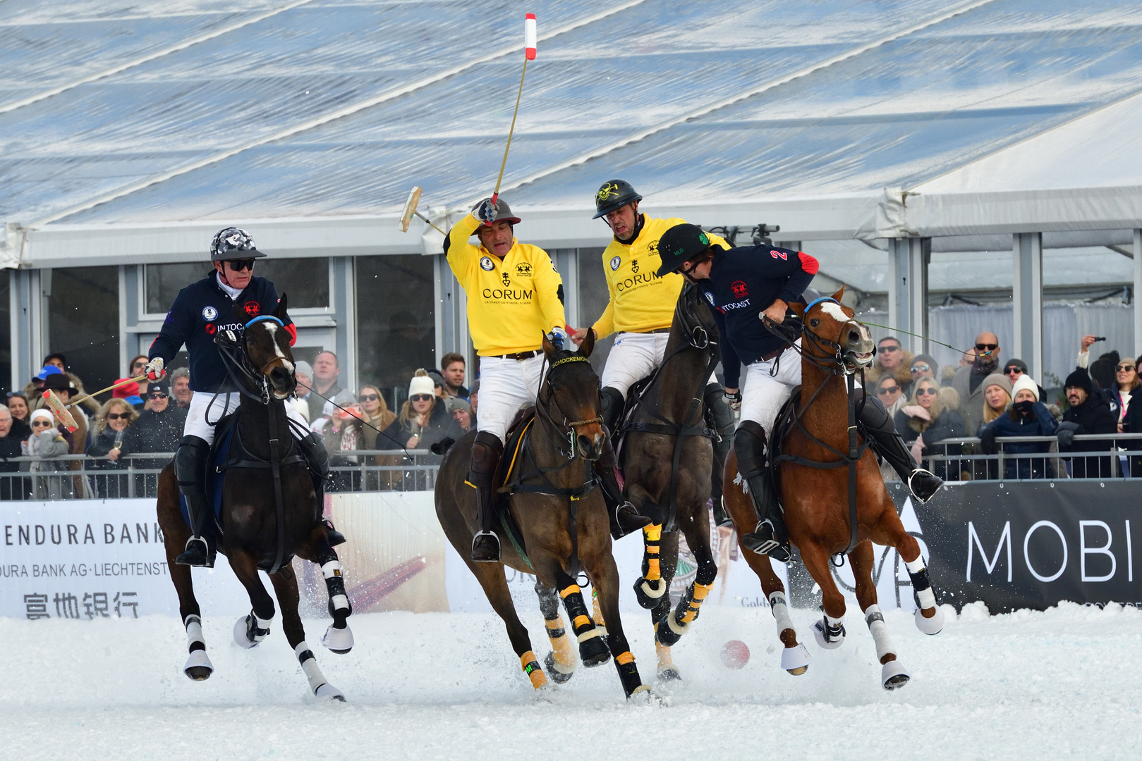 Snowpolo