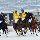 Snowpolo