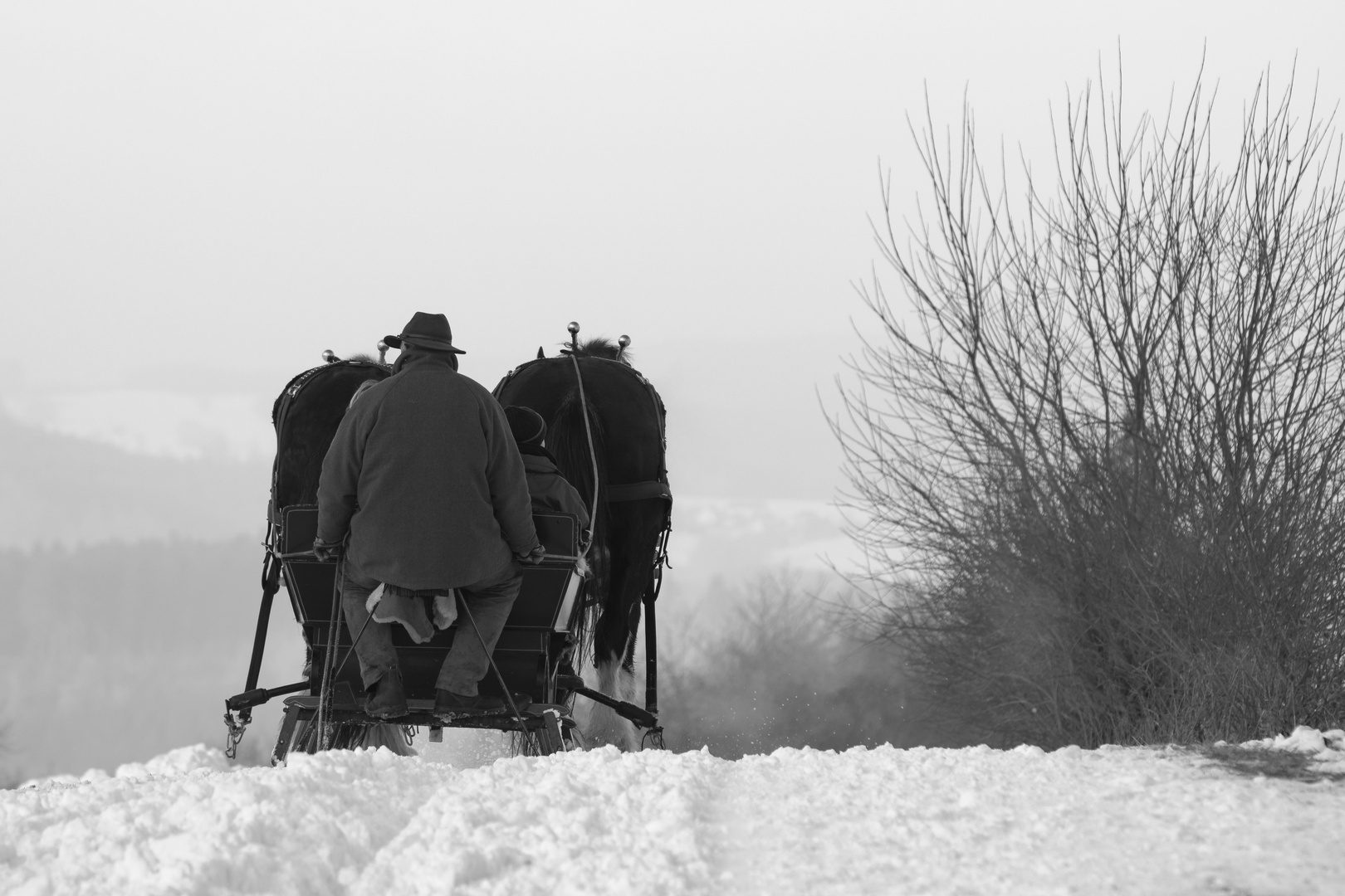 snowride