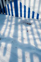 Snowshadows