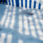 Snowshadows