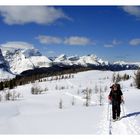 snowshoeing