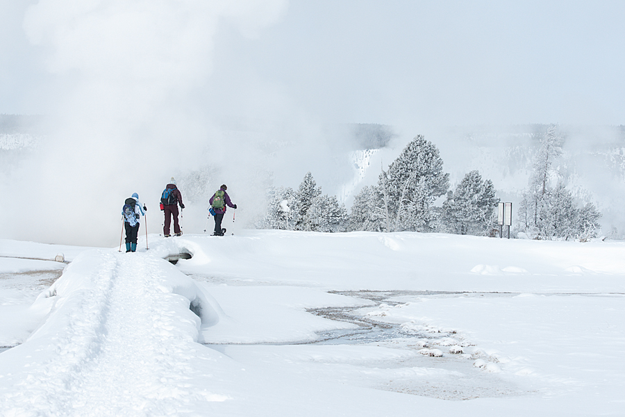 Snowshoeing in Yellowstone