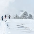 Snowshoeing in Yellowstone