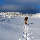 Snowshoeing On Pine Tree Mountain