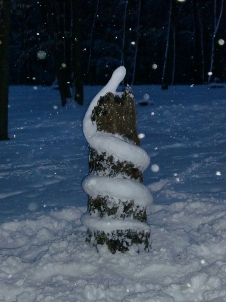 Snowsnake