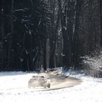 Snowsurfing on Road