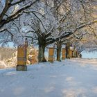 Snowtime in Rangendingen 3