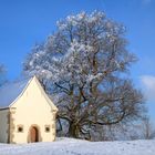 Snowtime in Rangendingen 5