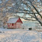 Snowtime in Rangendingen 6