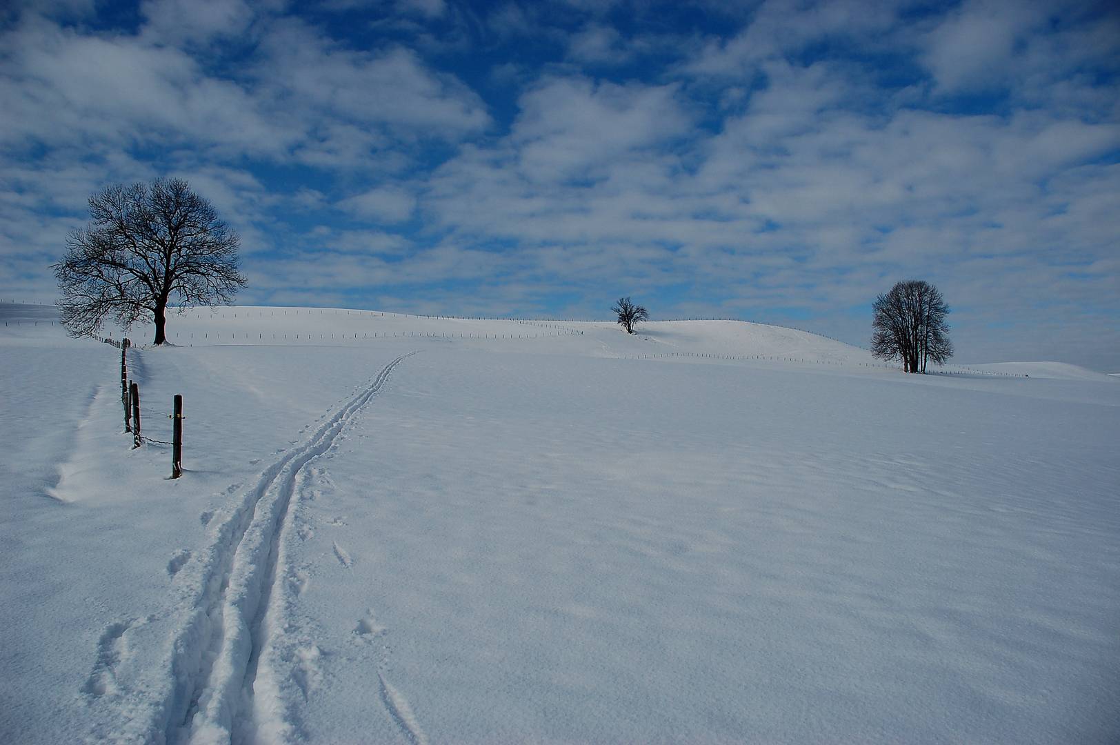 snowtracks