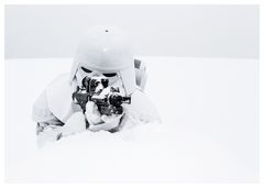 Snowtrooper I