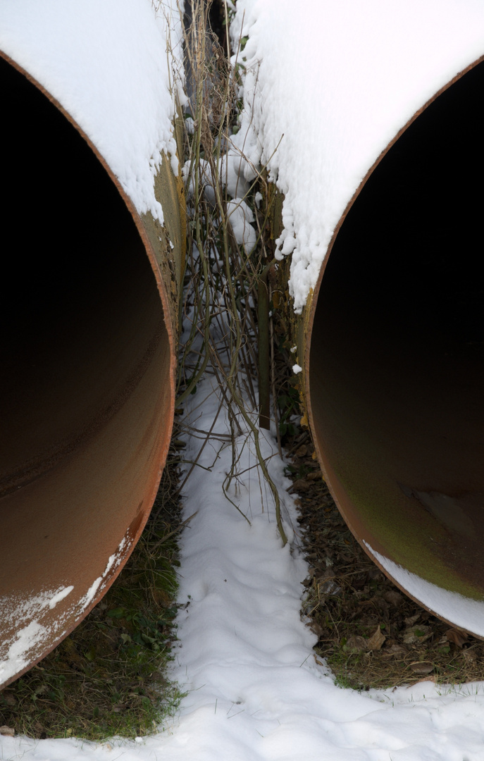 snow&tube