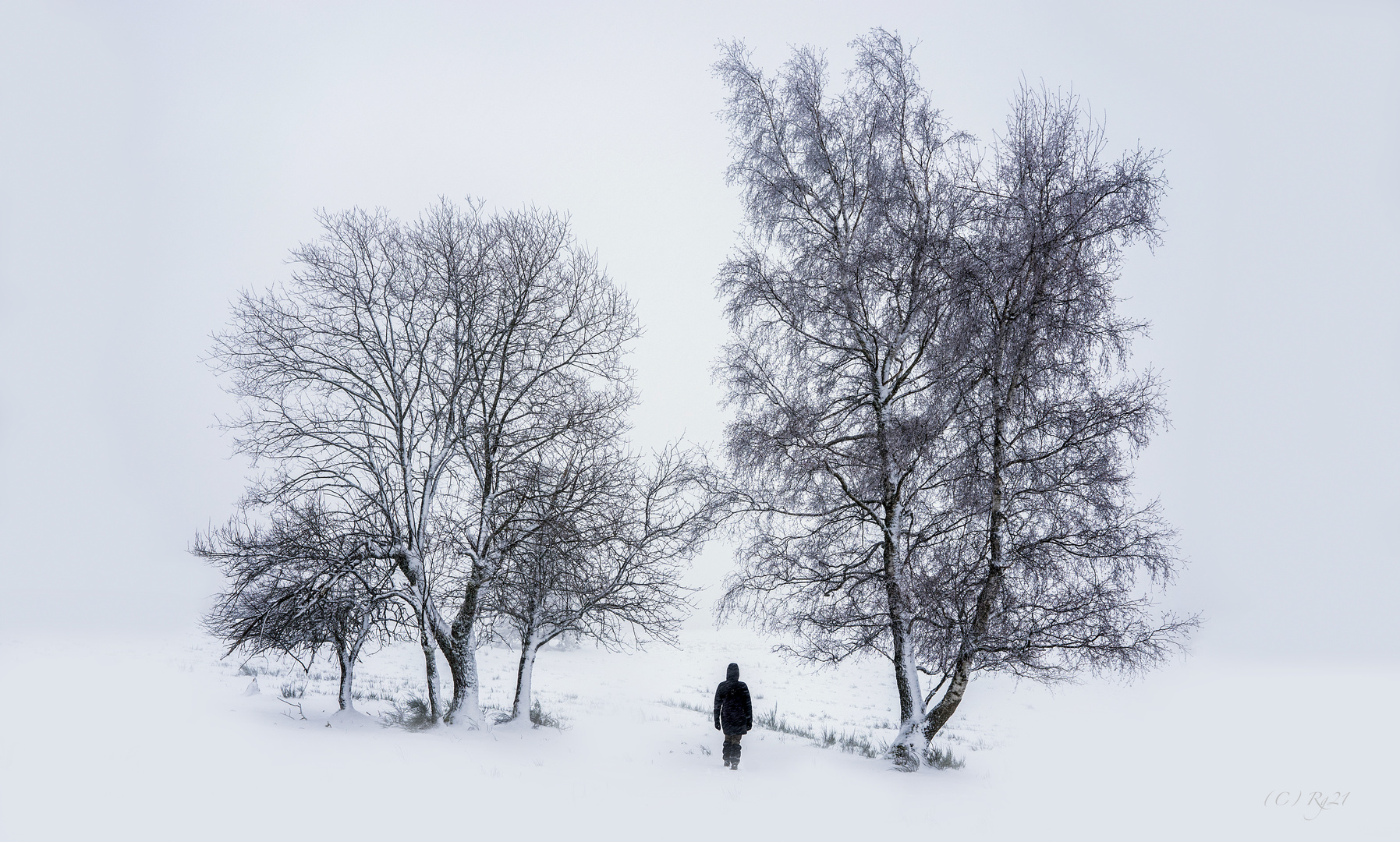 snowwalk