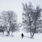 snowwalk