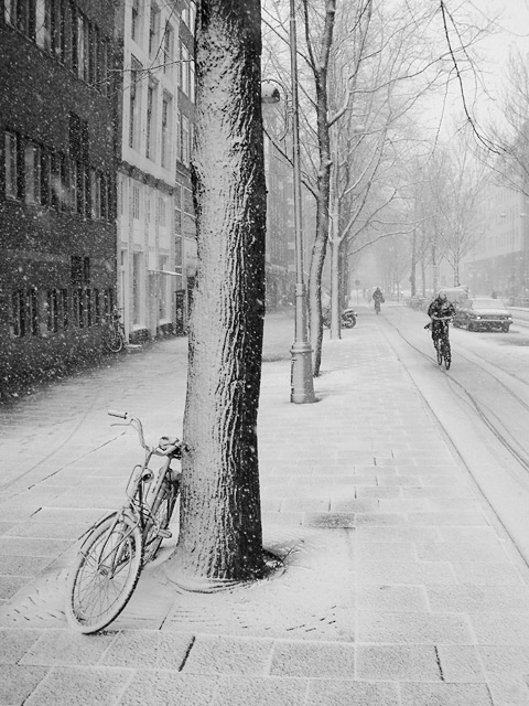 Snowy Amsterdam