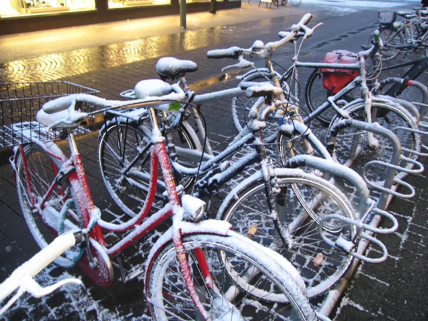 snowy bikes 