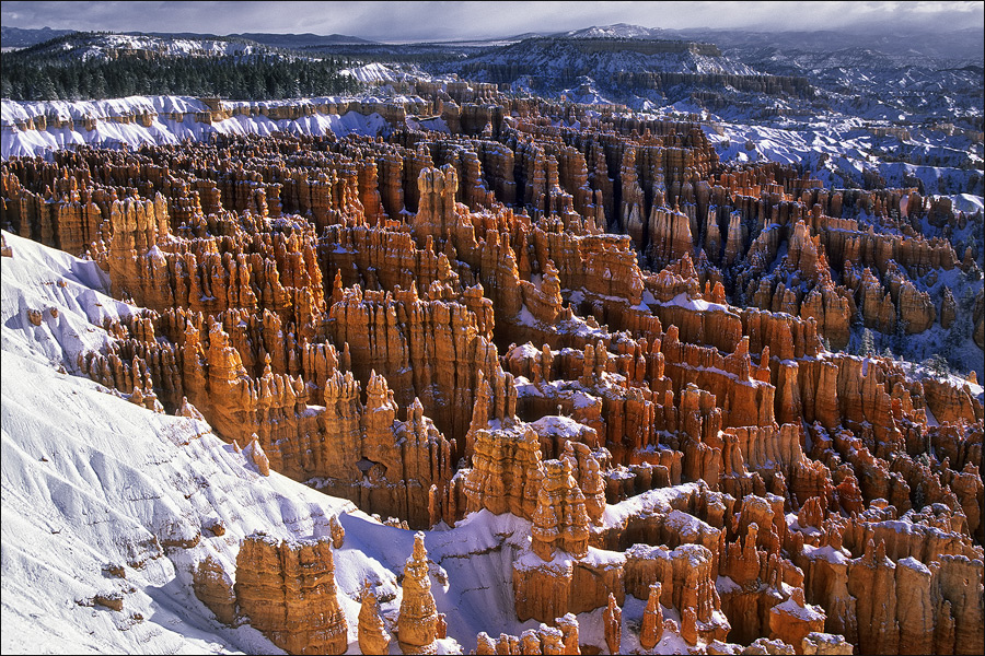 ... Snowy Bryce ...