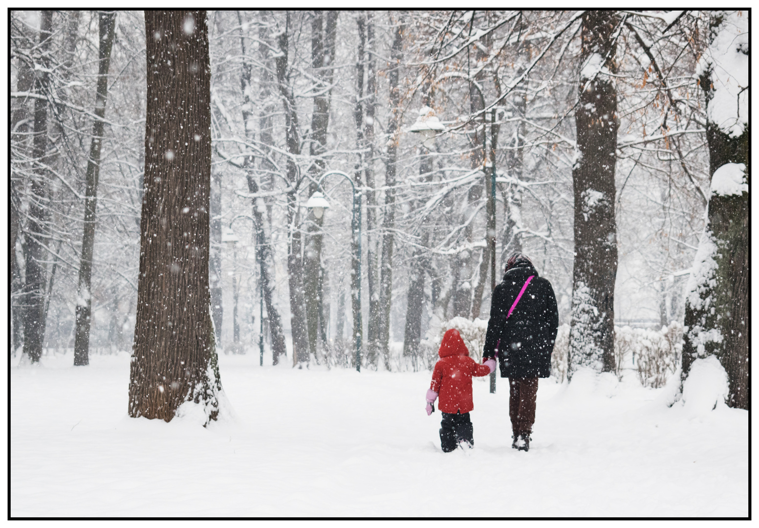 Snowy Day