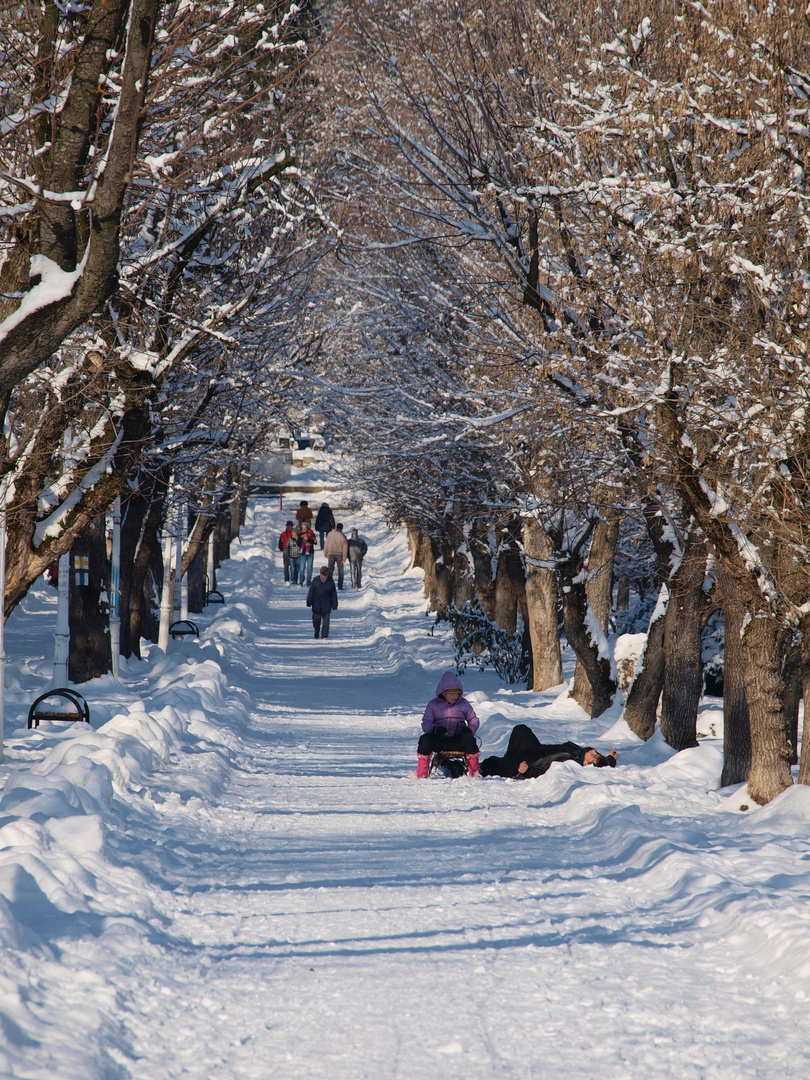 Snowy day