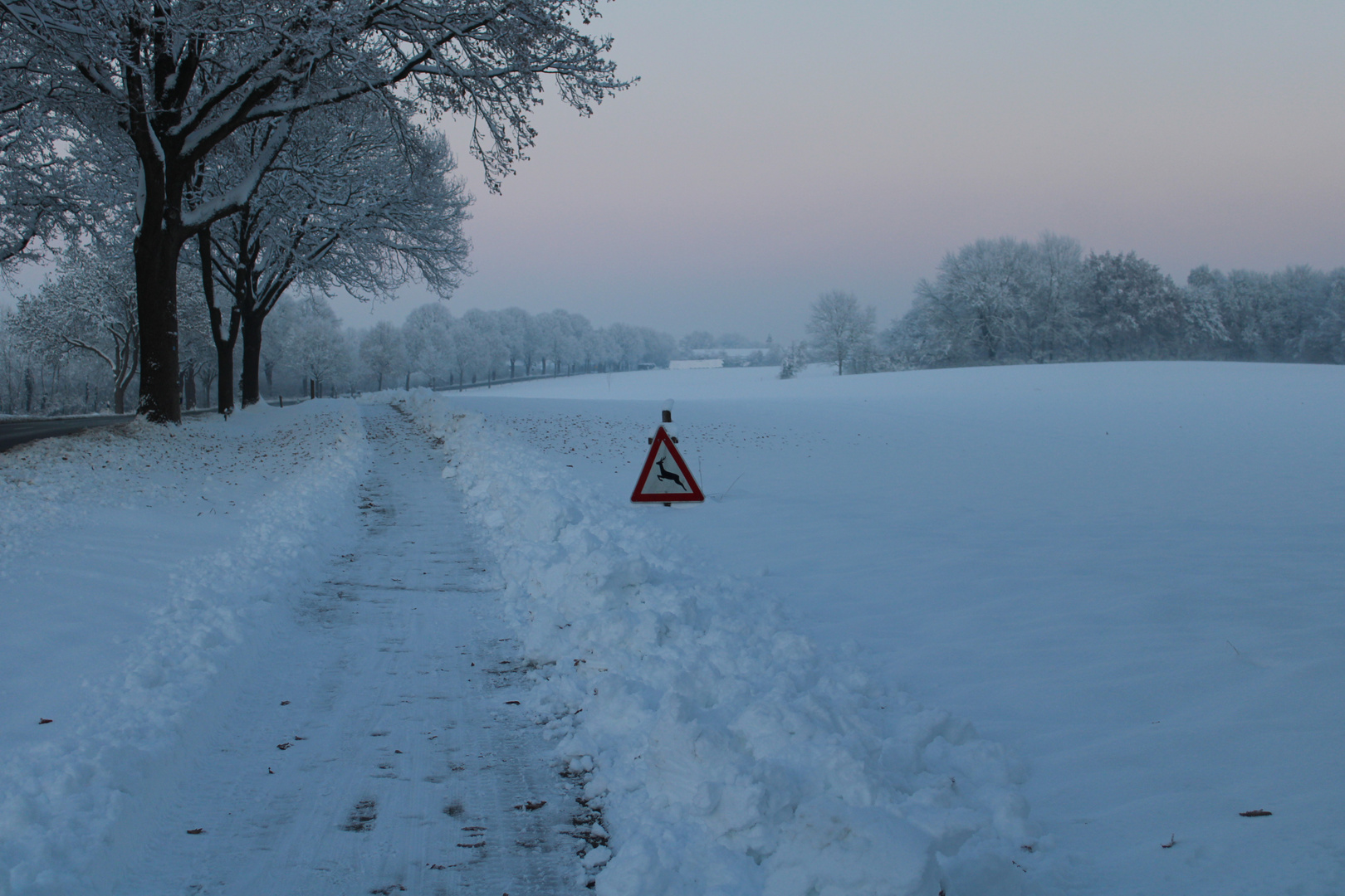 snowy deer warning 