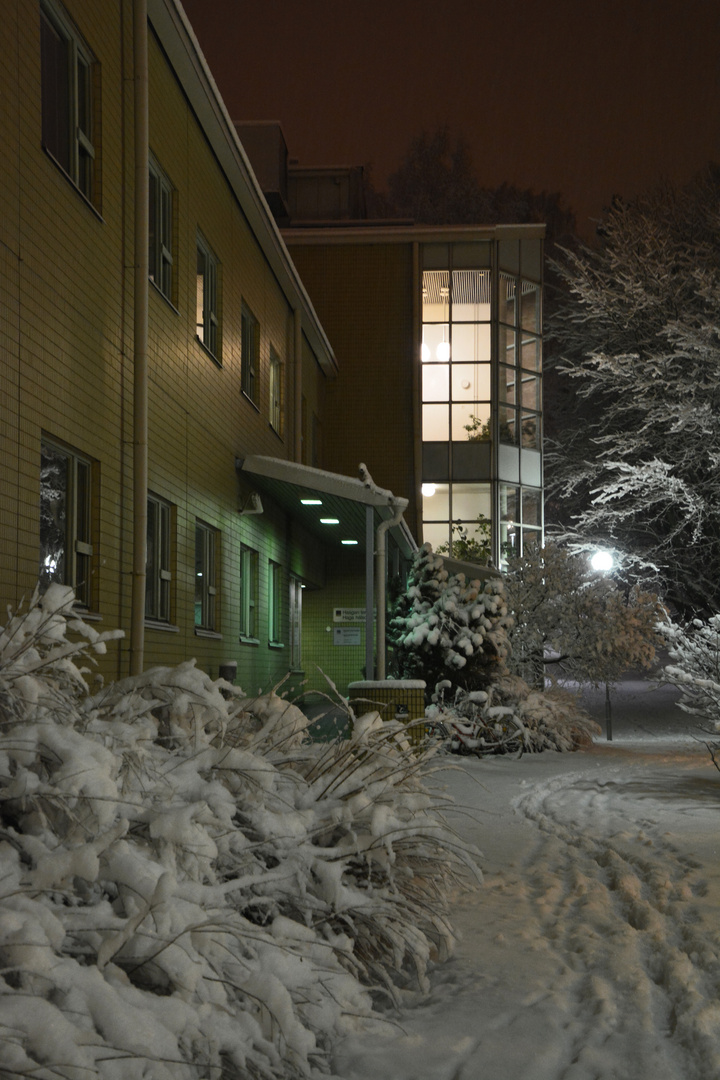 Snowy Helsinki, Haaga 