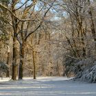 Snowy January