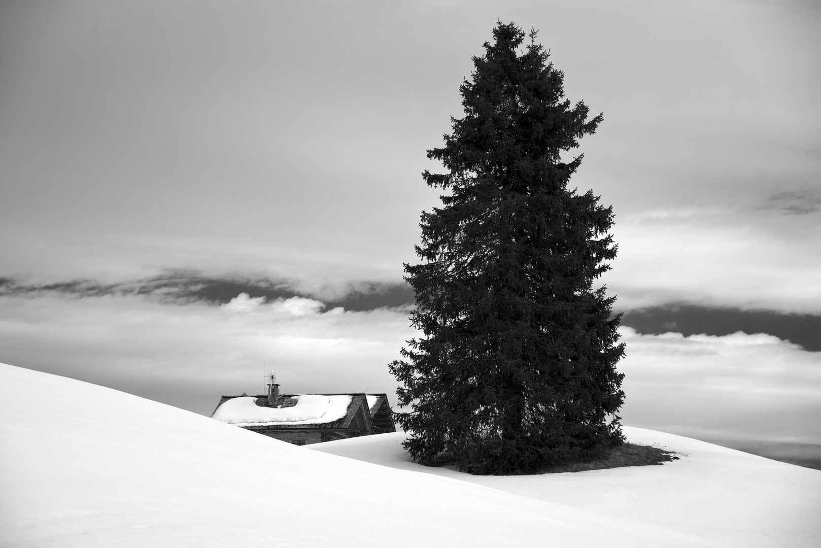 snowy landscape around Monte Piz, Tyrol