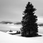 snowy landscape around Monte Piz, Tyrol