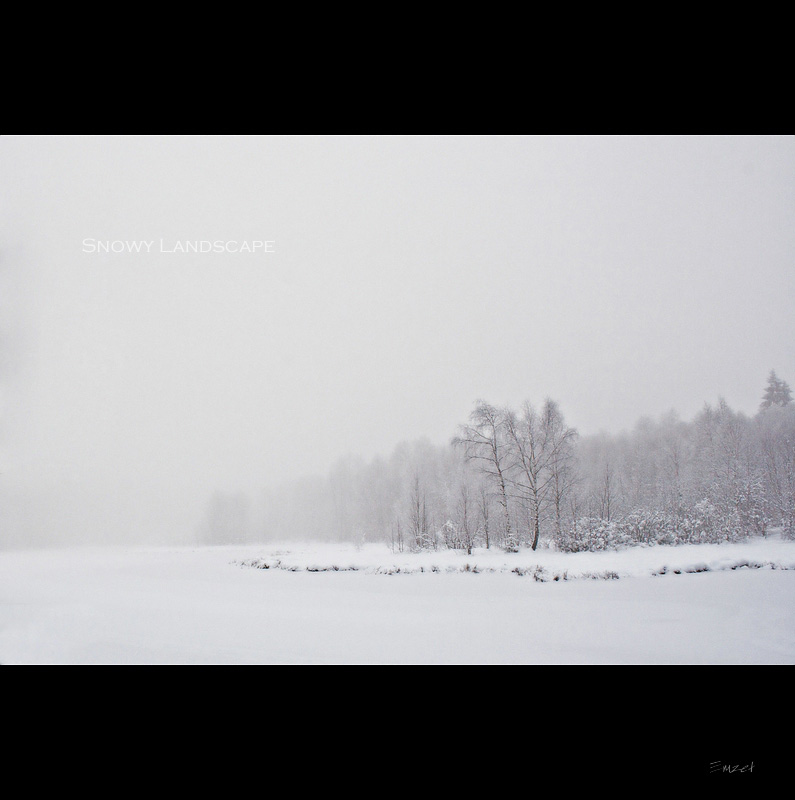 Snowy Landscape