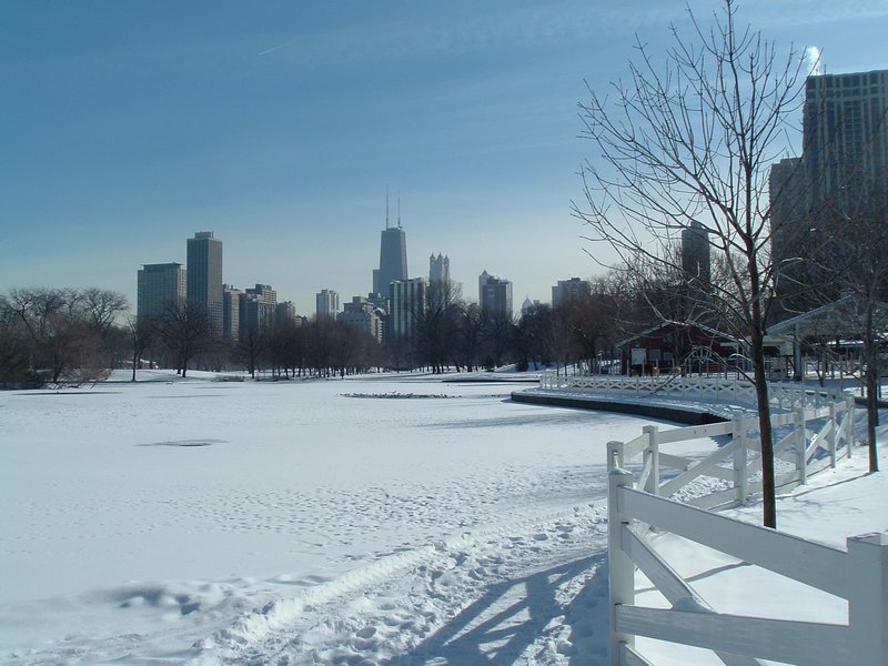 Snowy Lincoln Park