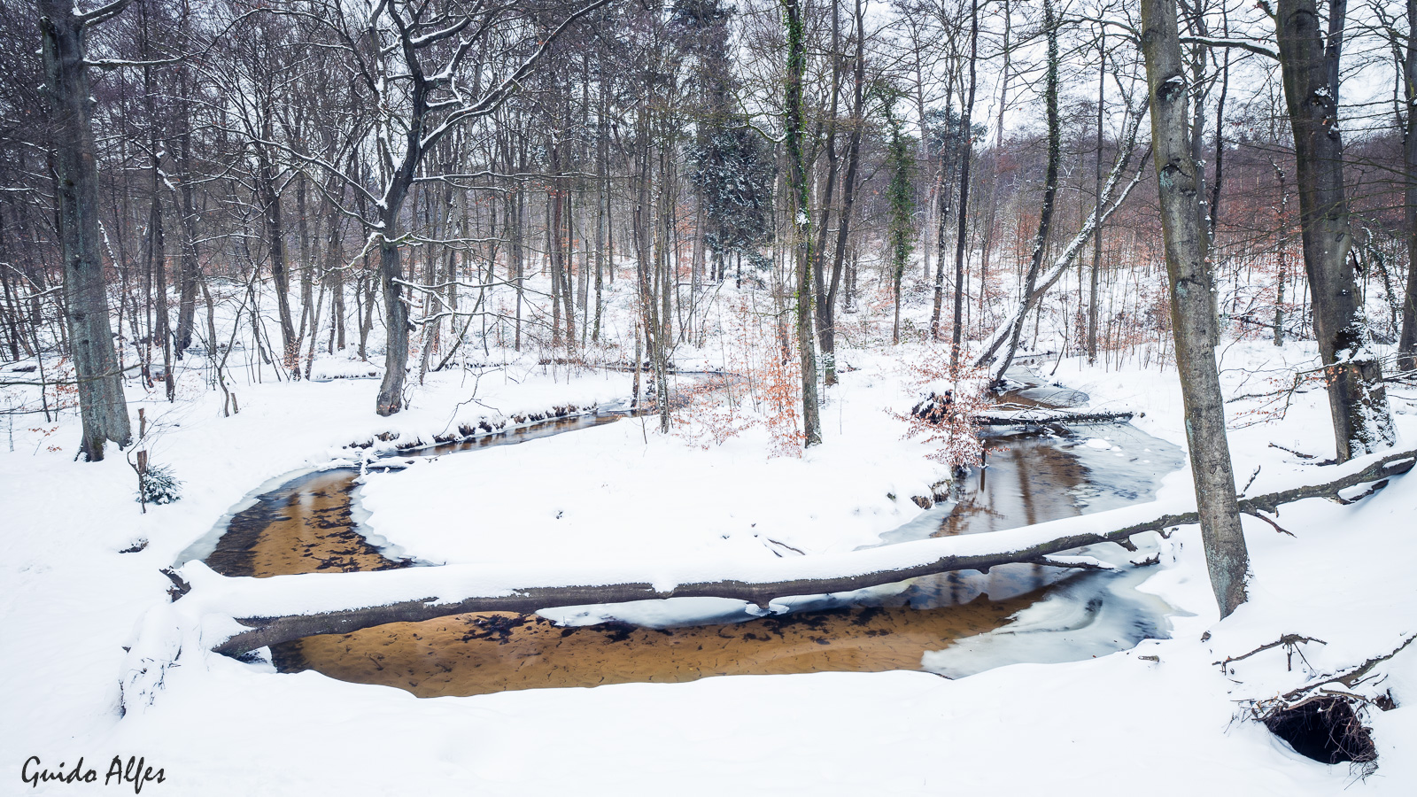 Snowy Mäander