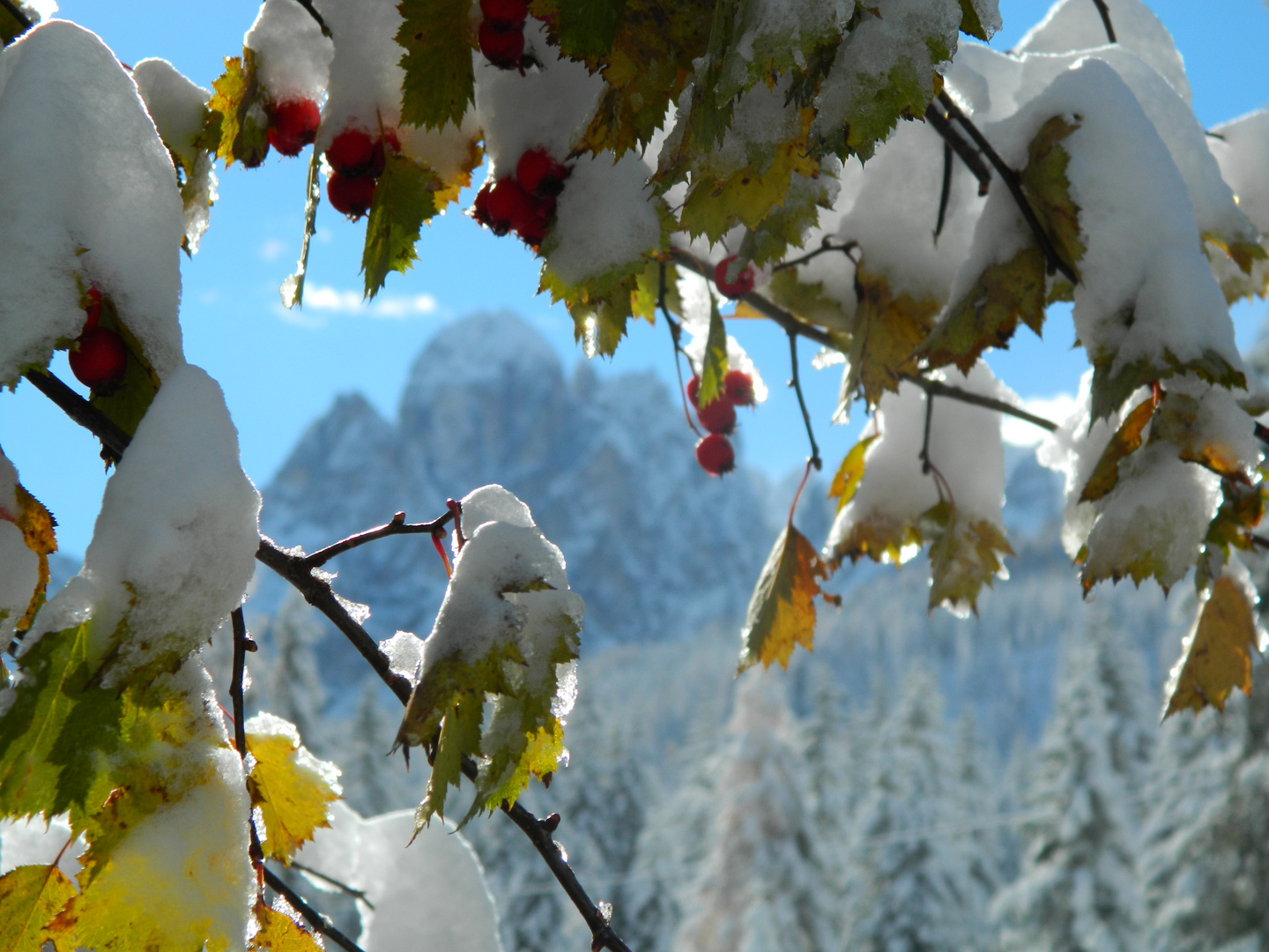 Snowy Mountains