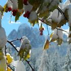 Snowy Mountains