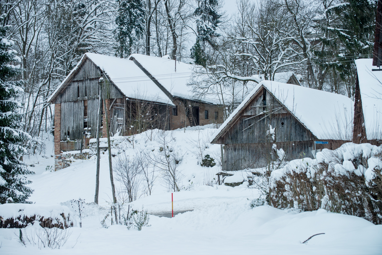 Snowy Neighbourhood