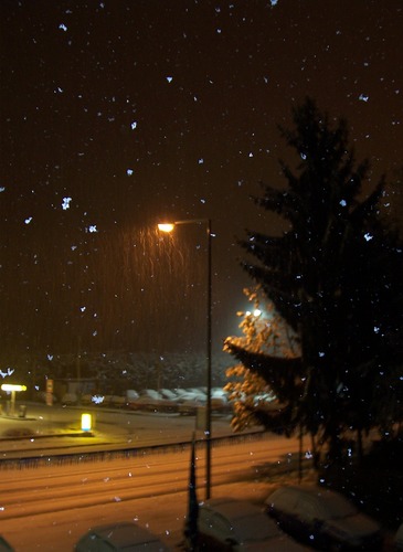 Snowy Night