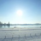 Snowy panorama.