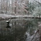 Snowy pond