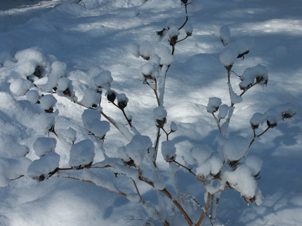 snowy provence 3