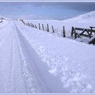 snowy road