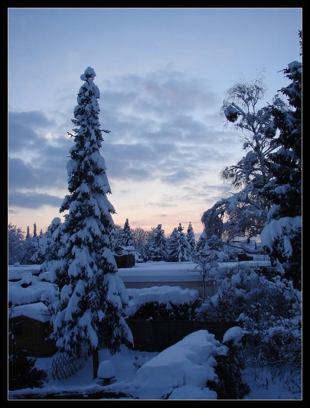 Snowy Sunset