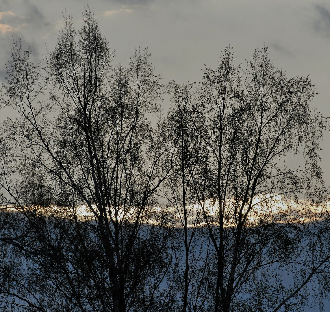 Snowy tops of clouds...