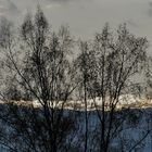 Snowy tops of clouds...