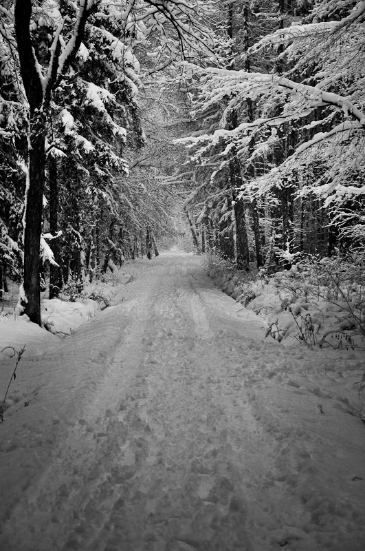 Snowy Tunnel