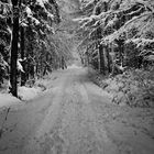 Snowy Tunnel