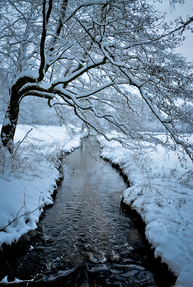 Snowy view.....