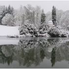 Snowy Winter In The Mountain Park Wilhelmshöhe