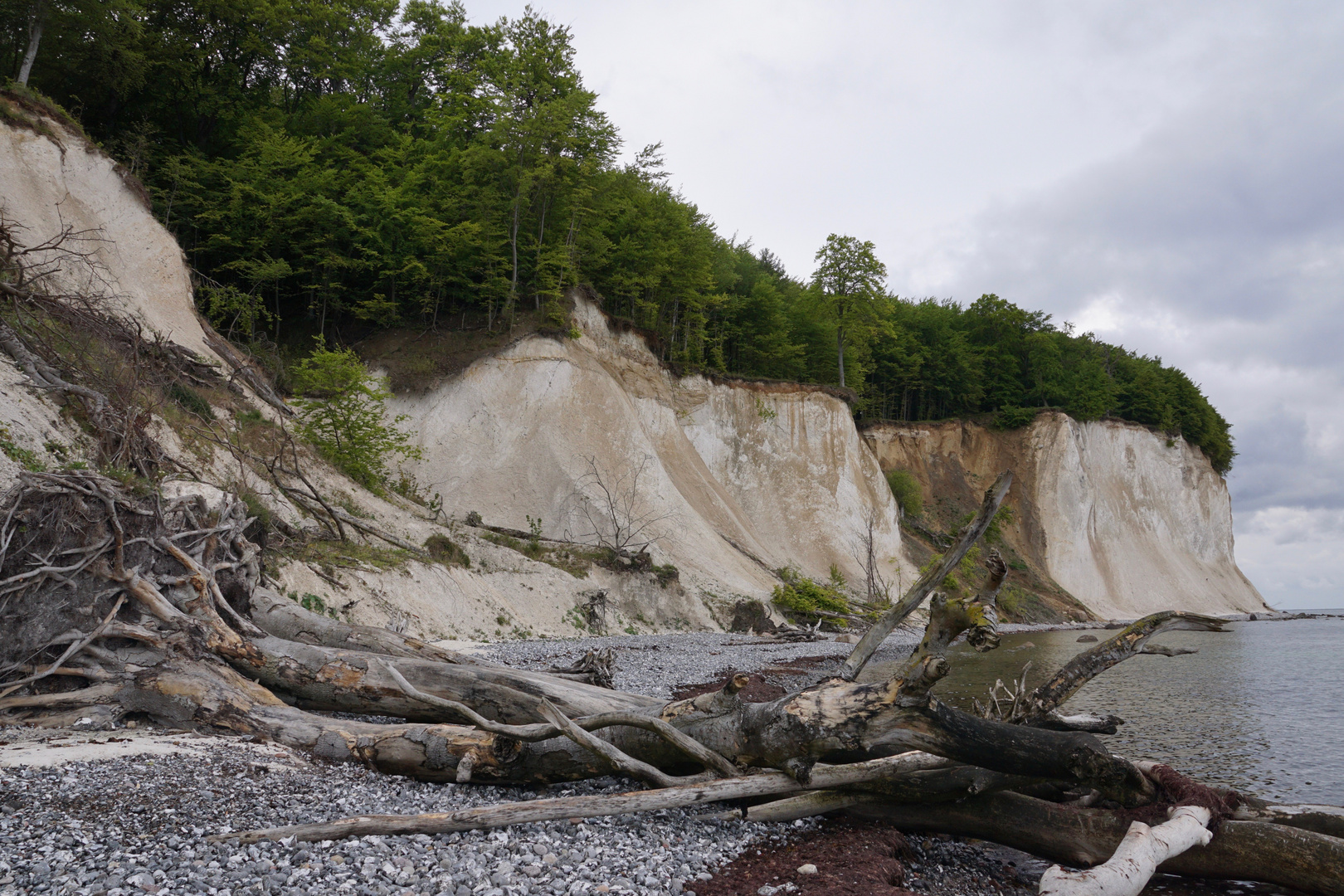 So arbeitet die Natur an der Kreideküste von Rügen