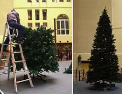 so baut man heute seinen Weihnachtsbaum