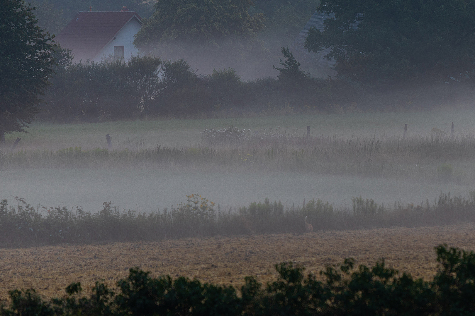 So begegnete mir der Morgen